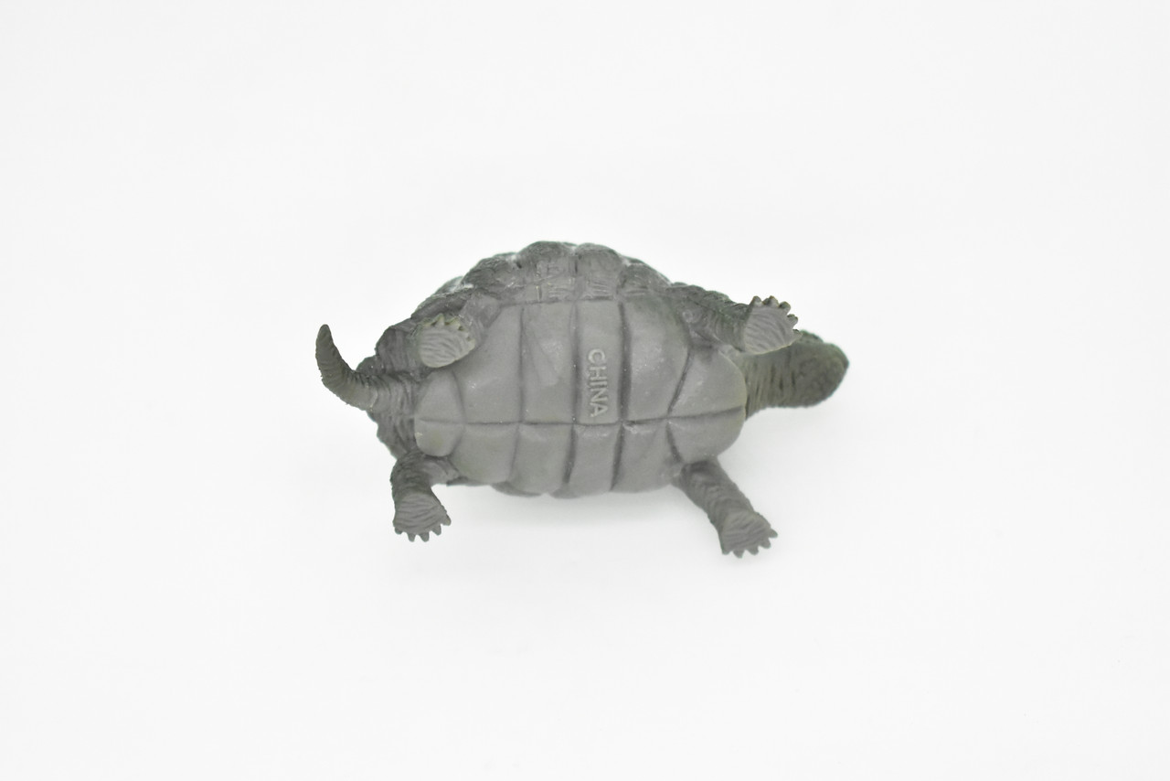 Tortoise, Testudinidae, Reptiles, Realistic Rubber Reproduction, Hand Painted Figurines       2.5"      CH145 B246