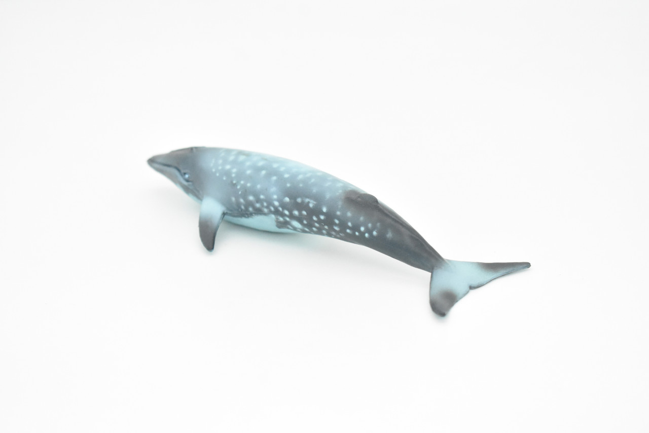 Blue Whale, Marine Mammal, Realistic Rubber Reproduction, Hand Painted Figurines    7"     CH155 B248