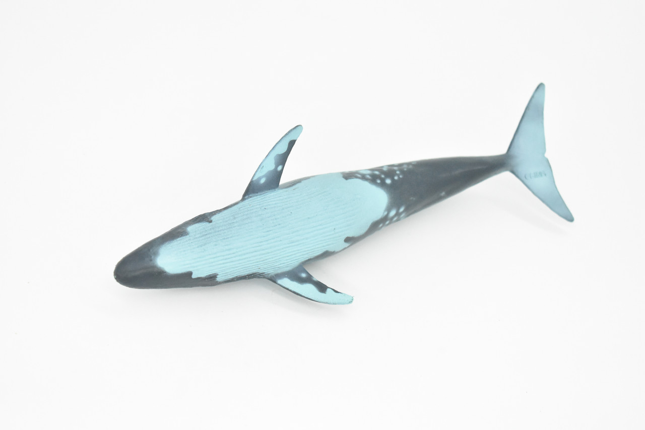 Blue Whale, Marine Mammal, Realistic Rubber Reproduction, Hand Painted Figurines    7"     CH155 B248