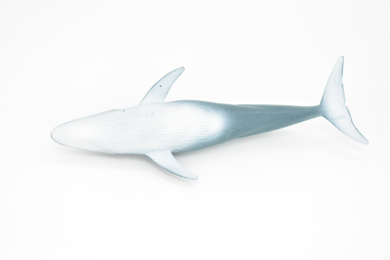 Blue Whale, Marine Mammal, Realistic Rubber Reproduction, Hand Painted Figurines    7"     CH156 B249