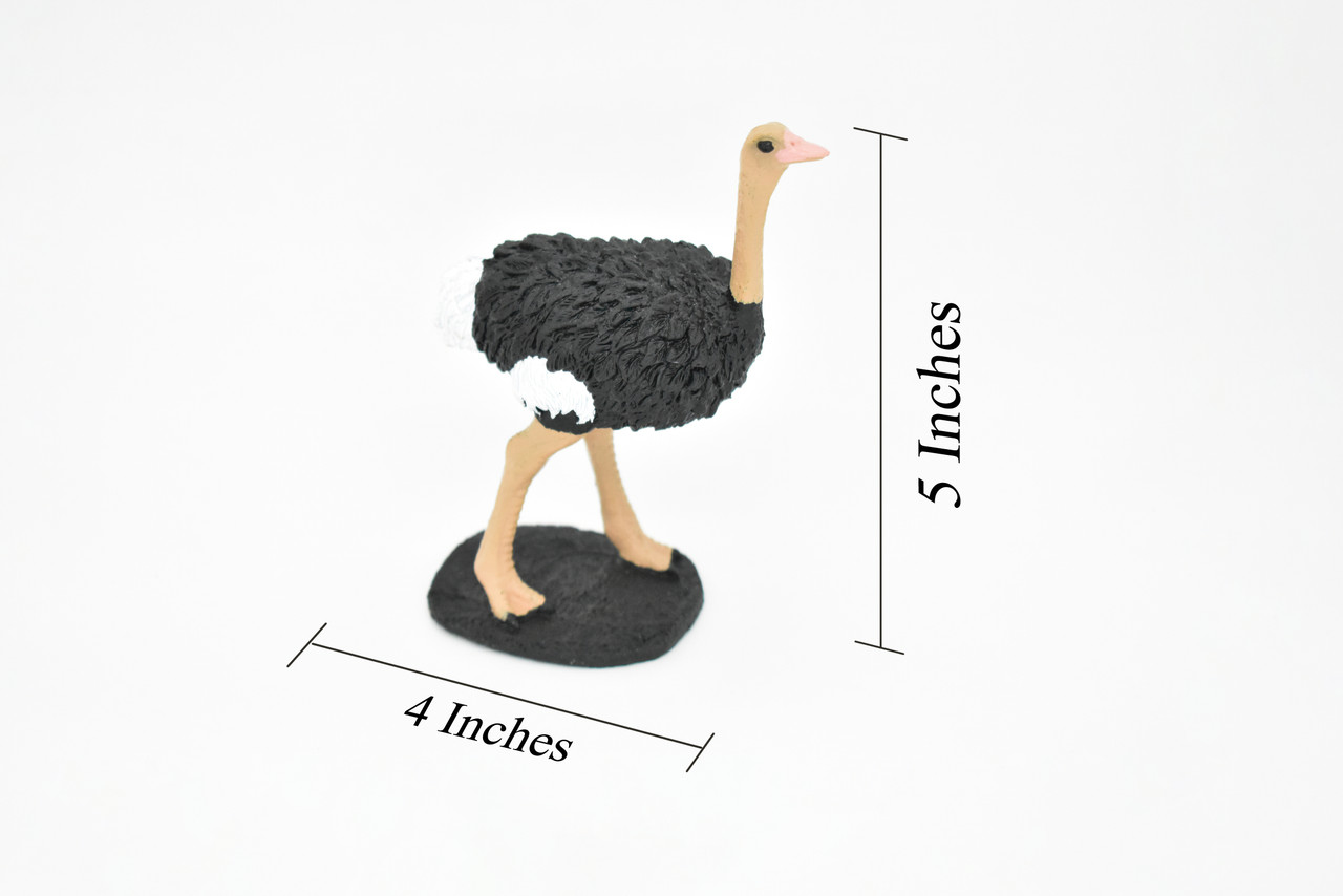 Ostrich, Bird, Museum Quality Rubber Reproduction, Hand Painted Figurines       5"     CH157 B249 