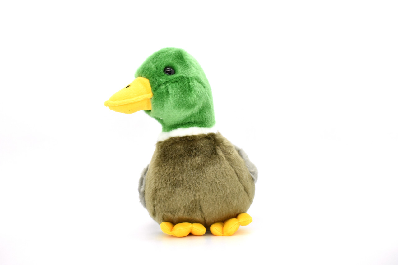 Mallard Duck, Male, Drake, Bird, Realistic, Lifelike, Stuffed, Bird, Soft, Toy, Educational, Animal, Kids, Gift, Very Nice Plush Animal    10"   CC29 BB9