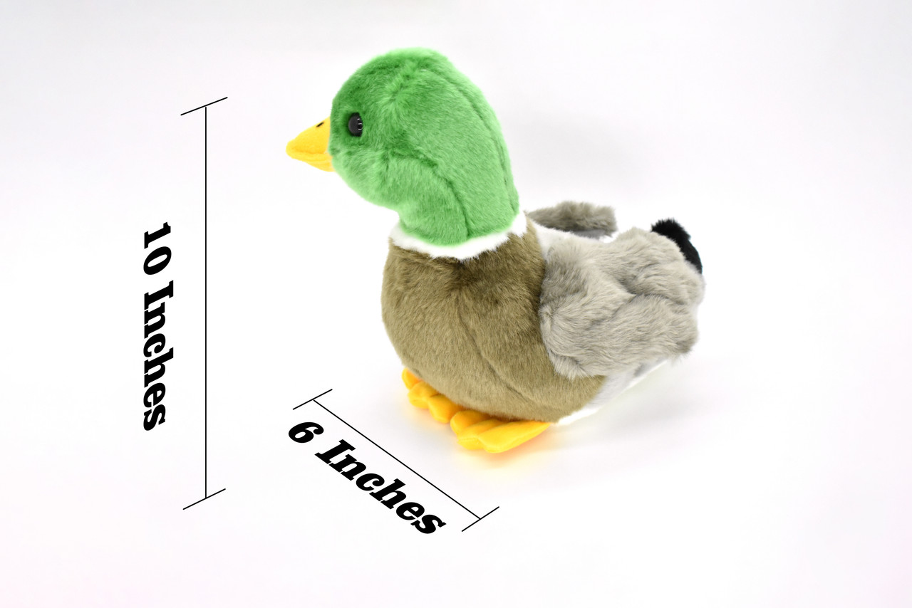 Mallard Duck, Male, Drake, Realistic, Lifelike, Stuffed, Bird, Soft, Toy, Educational, Animal, Kids, Gift, Very Nice Plush Bird     10" 
