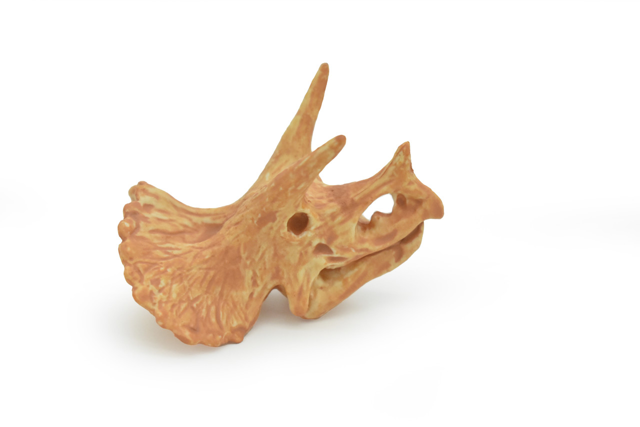 Triceratops, Dinosaur Skull Fossil, Very Realistic Rubber Toy Model, Educational, Figure, Model, Bones, Figurine, Prehistoric     1.5"     CH158 B231