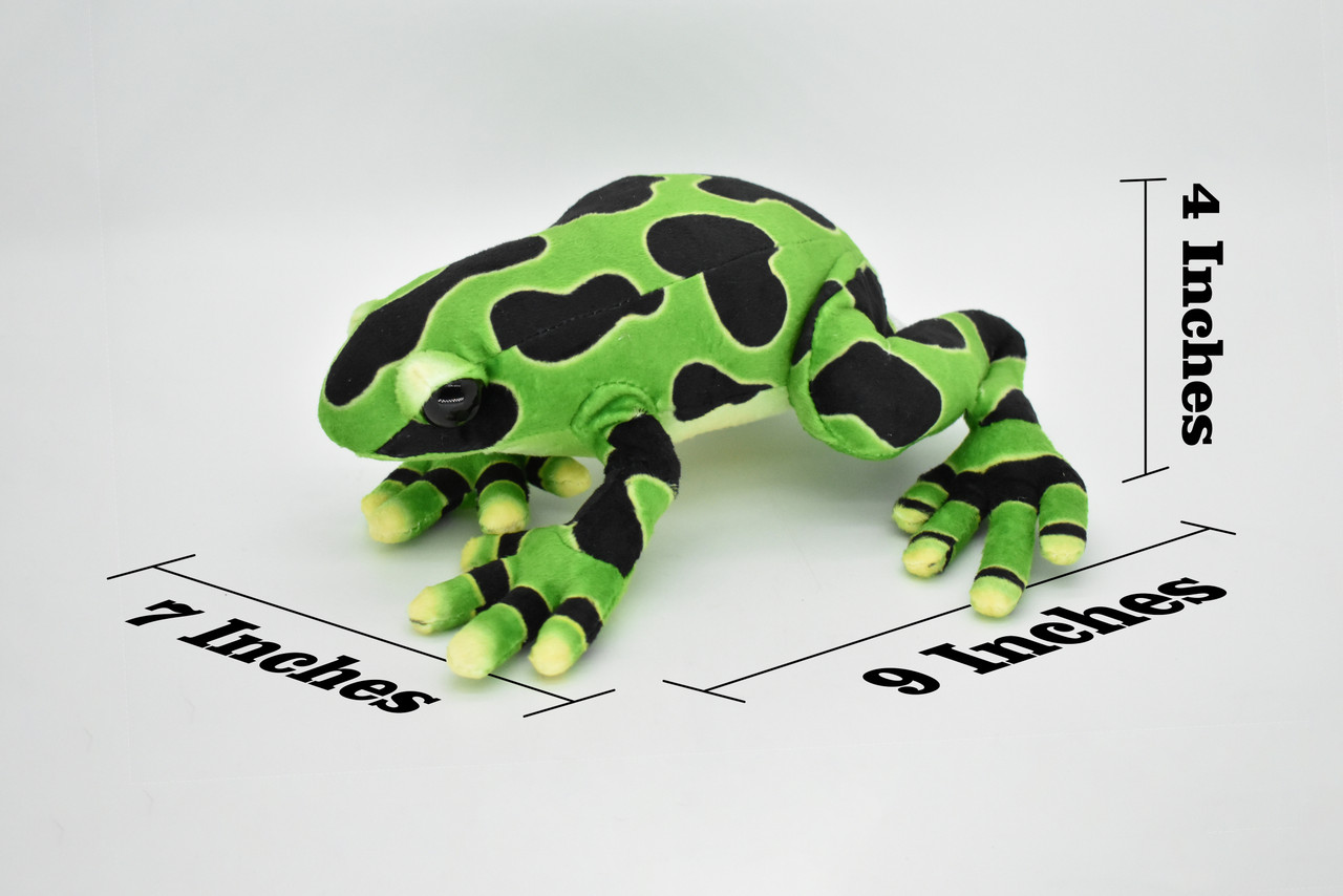Frog, Green, Poison Dart Realistic Cute Stuffed Animal Plush Toy Kids Educational Gift    9"      RI09 B256