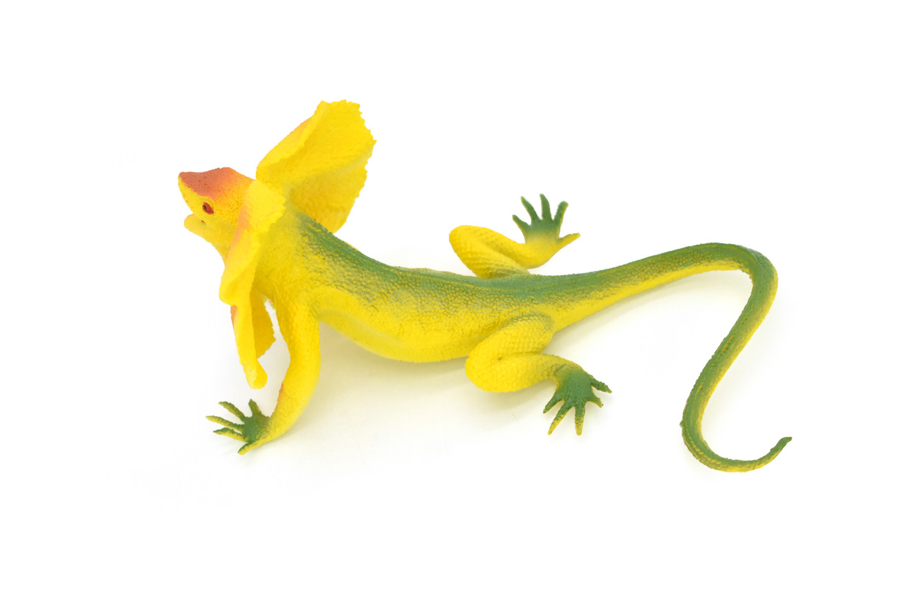 Lizard, Frilled Lizard, Frill-necked, Reptile, Very Realistic Rubber Reproduction, Hand Painted Figurines,    7"    RI14 B259