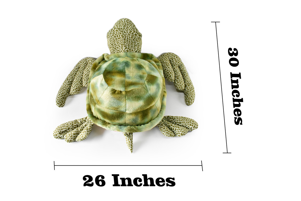 Sea Turtle, Green, Realistic Cute Stuffed Animal Plush Toy Kids Educational Gift         26" x  30" x 12"   C05 BB100