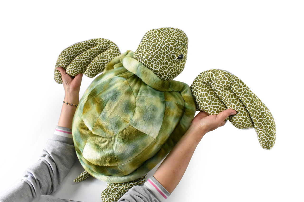 Sea Turtle, Green, Realistic Cute Stuffed Animal Plush Toy Kids Educational Gift         26" x  30" x 12"   C05 BB100