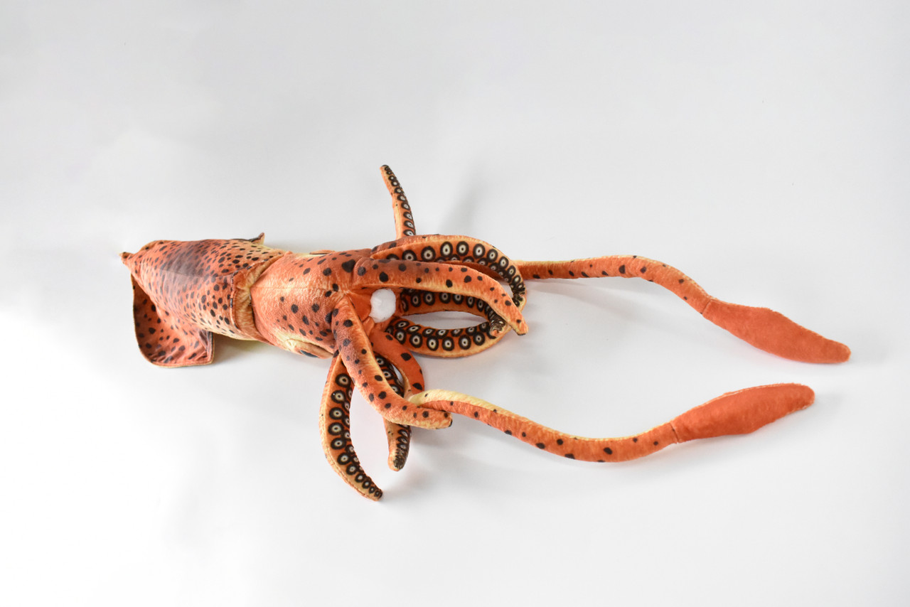 Squid, Giant Squid, Very Nice Plush, Saltwater, Stuffed Ocean Animal, Educational, Realistic Figure, Lifelike Model, Replica, Gift,     24" x  6" x 6"      C06 BB106