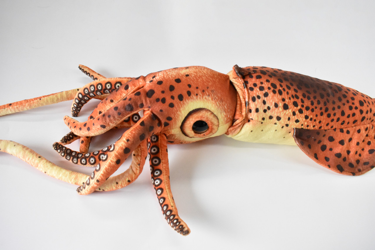 Squid, Giant Squid, Very Nice Plush, Saltwater, Stuffed Ocean Animal, Educational, Realistic Figure, Lifelike Model, Replica, Gift,     24" x  6" x 6"  