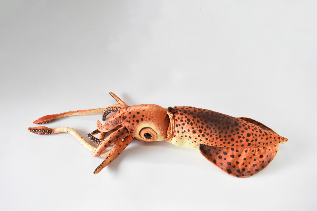 Squid, Giant Squid, Very Nice Plush, Saltwater, Stuffed Ocean Animal, Educational, Realistic Figure, Lifelike Model, Replica, Gift,     24" x  6" x 6"      C06 BB106