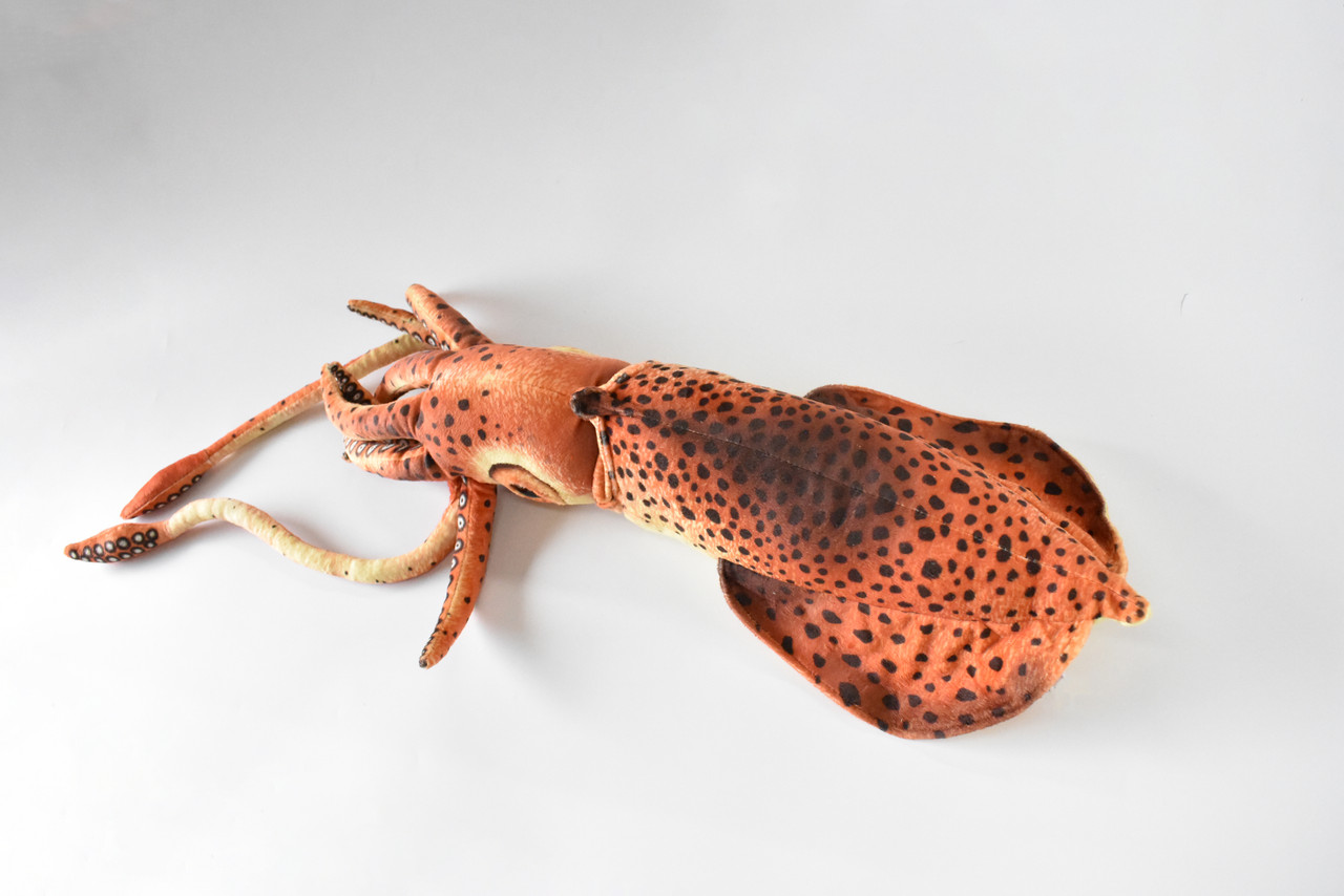 Squid, Giant Squid, Very Nice Plush, Saltwater, Stuffed Ocean Animal, Educational, Realistic Figure, Lifelike Model, Replica, Gift,     24" x  6" x 6"      C06 BB106