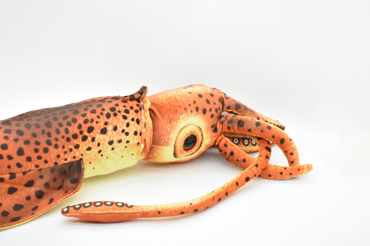 Squid, Giant Squid, Very Nice Plush, Saltwater, Stuffed Ocean Animal, Educational, Realistic Figure, Lifelike Model, Replica, Gift,     24" x  6" x 6"      C06 BB106