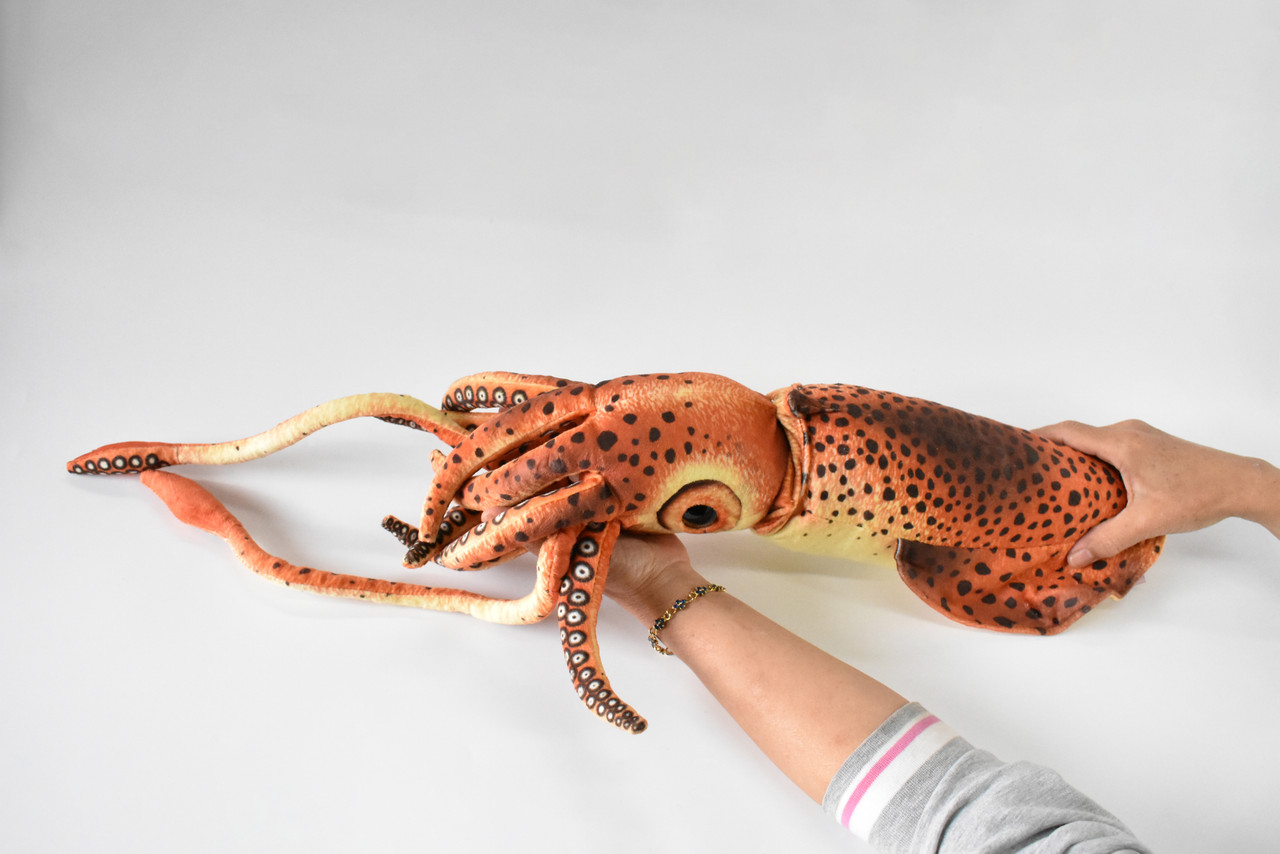 Squid, Giant Squid, Very Nice Plush, Saltwater, Stuffed Ocean Animal, Educational, Realistic Figure, Lifelike Model, Replica, Gift,     24" x  6" x 6"  