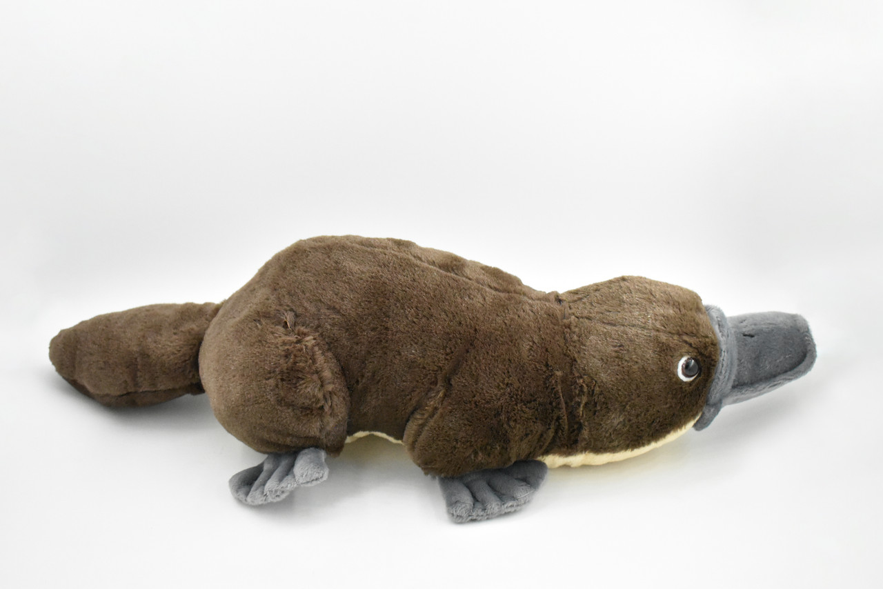 Platypus, Duck Billed, Sitting Realistic Cute Stuffed Animal Plush Toy, Kids Educational Gift  18"   WR05 B318