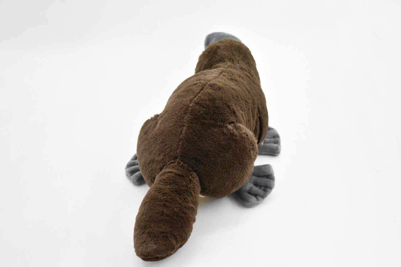 Platypus, Duck Billed, Sitting Realistic Cute Stuffed Animal Plush Toy, Kids Educational Gift  18"   WR05 B318