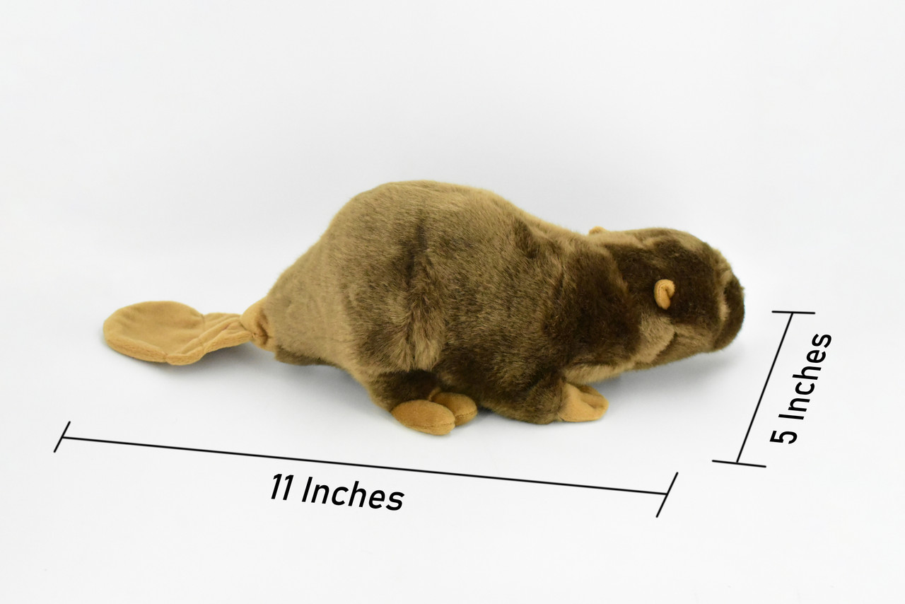 Beaver, Castor, Realistic, Lifelike, Stuffed, Soft, Toy, Educational, Animal, Kids, Gift, Very Nice Plush Animal 