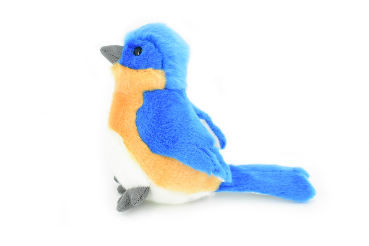 Blue Jay, Bird, Realistic, Lifelike, Stuffed, Bird, Soft, Toy, Educational,  Animal, Kids, Gift, Very Nice Plush