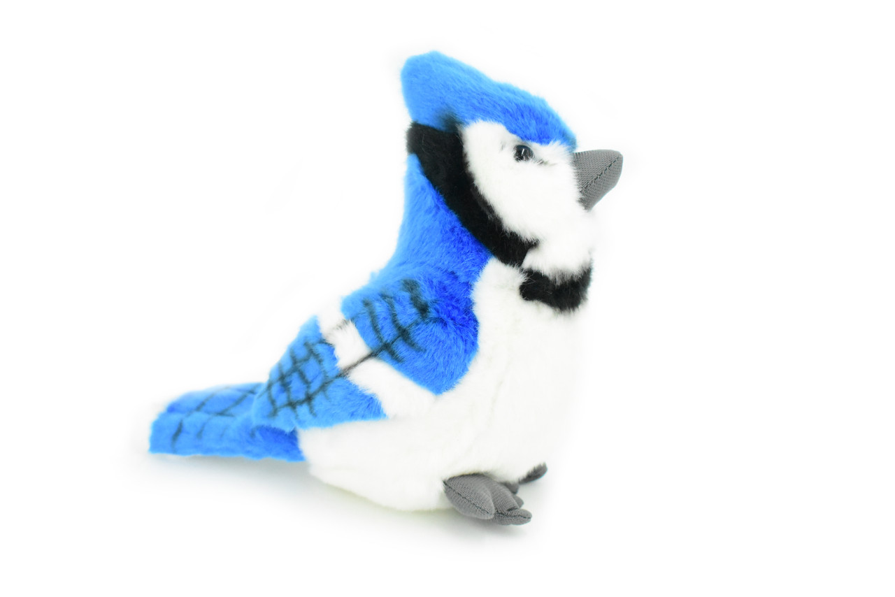 Blue Jay, Bird, Realistic, Lifelike, Stuffed, Bird, Soft, Toy, Educational, Animal, Kids, Gift, Very Nice Plush Animal         6"       F4007 BB8
