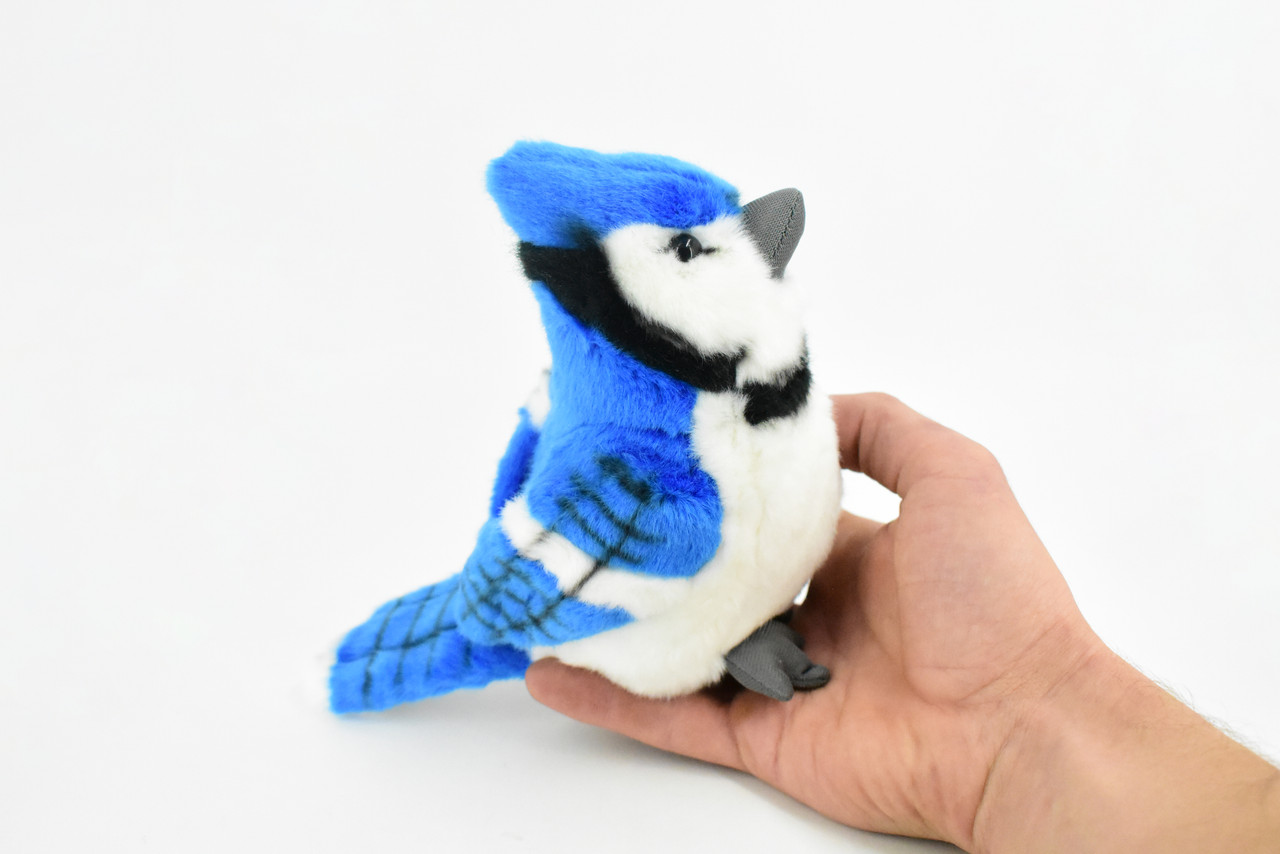 Blue Jay, Bird, Realistic, Lifelike, Stuffed, Bird, Soft, Toy, Educational, Animal, Kids, Gift, Very Nice Plush Bird,  6 Inches
