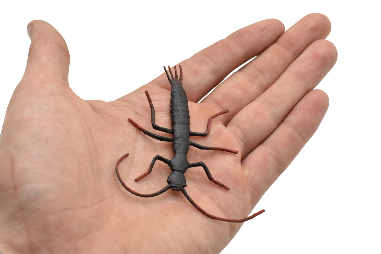 Earwig, Flexible, Rubber Toy Animal, Realistic Figure, Model, Replica, Kids Educational Gift,     3.5 inches Length     F1061 B190
