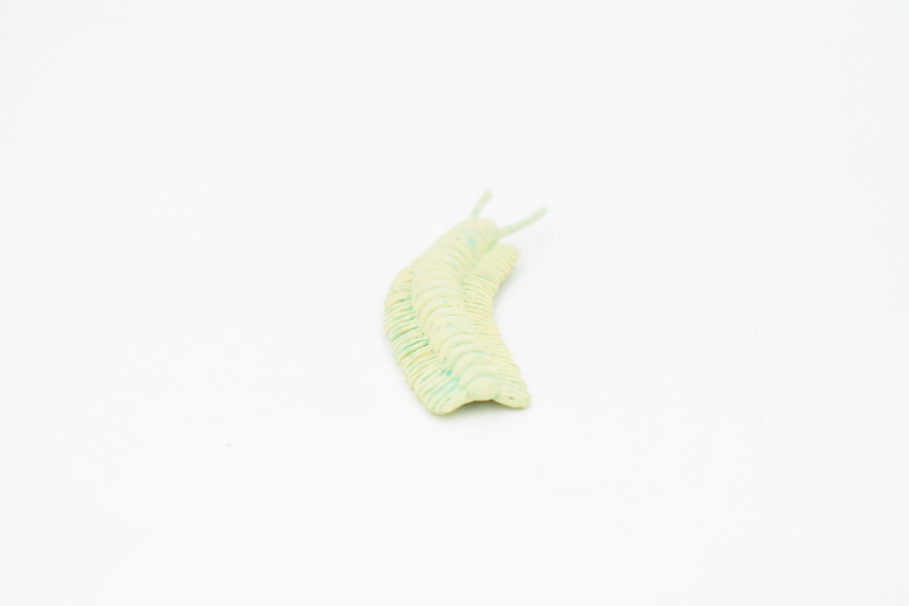 Millipede, Cave,  Plastic Toy Insect Kids Gift, Realistic Figure, Educational Model, Replica, Gift,     3"Long     F763 B625