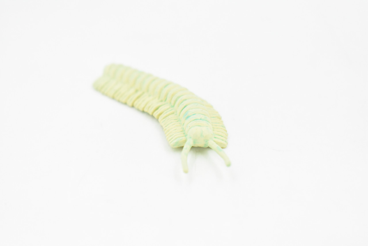 Millipede, Cave,  Plastic Toy Insect Kids Gift, Realistic Figure, Educational Model, Replica, Gift,     3"Long     F763 B625