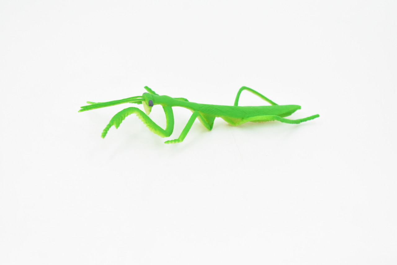 Praying Mantis, Rubber Insect, Toy, Realistic Figure, Model, Replica, Kids Educational Gift,     4"      F1053 B190