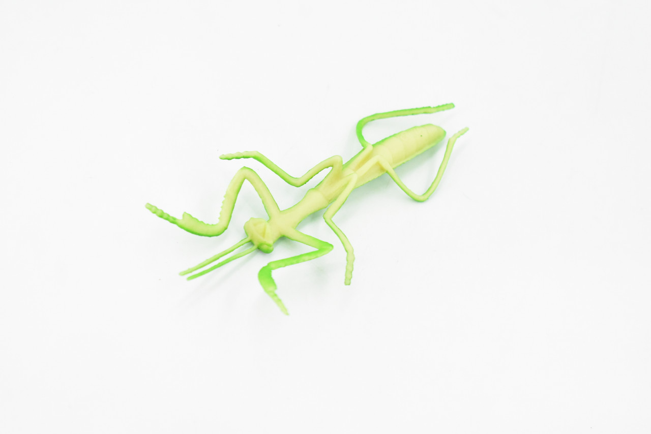 Predator In …／PRAYING MANTIS (LPレコード国内盤) 【公式通販】