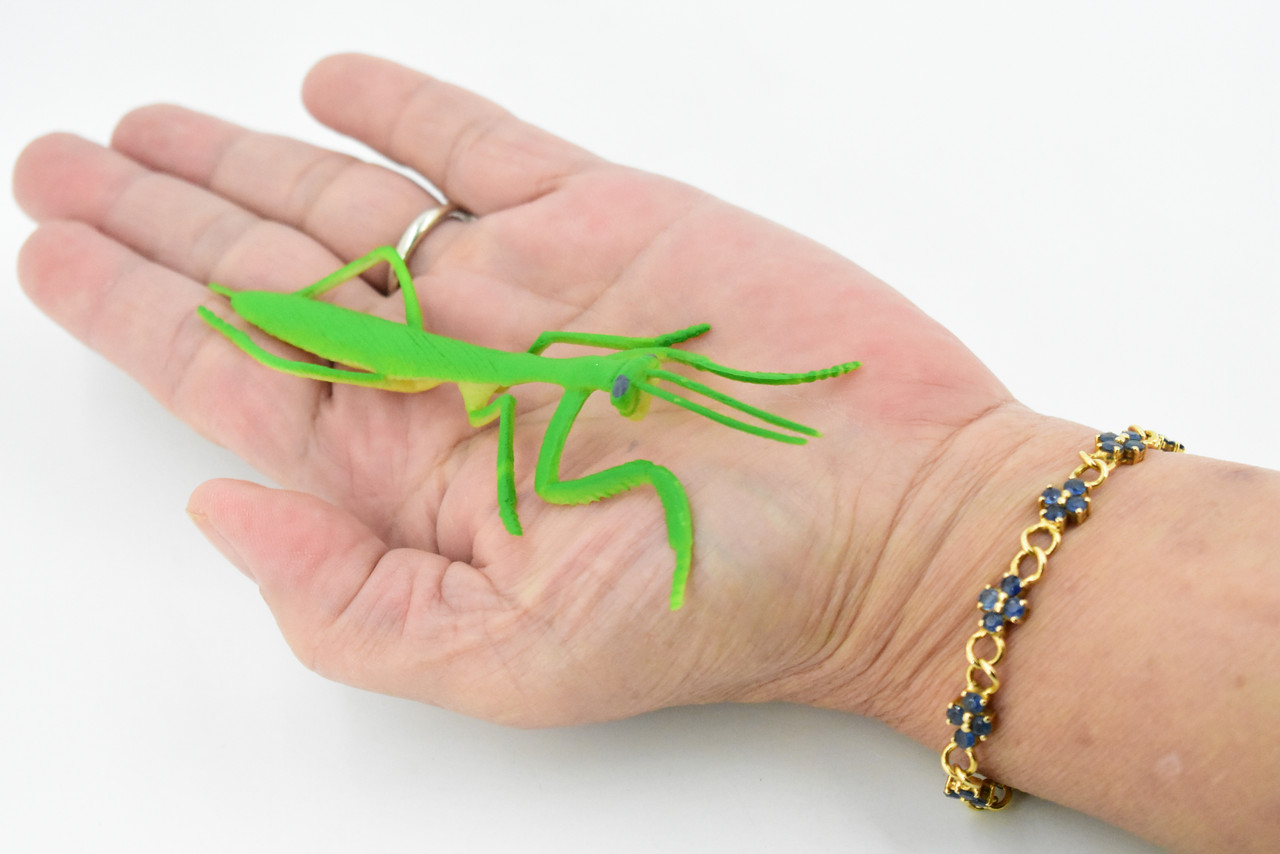 Praying Mantis, Rubber Insect, Toy, Realistic Figure, Model, Replica, Kids Educational Gift,     4"      F1053 B190