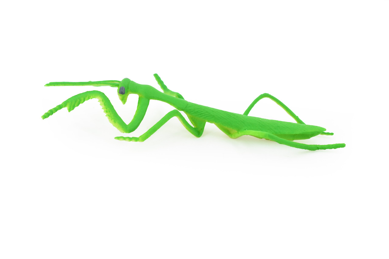 Praying Mantis, Rubber Insect, Toy, Realistic Figure, Model, Replica, Kids Educational Gift,     4"      F1053 B190