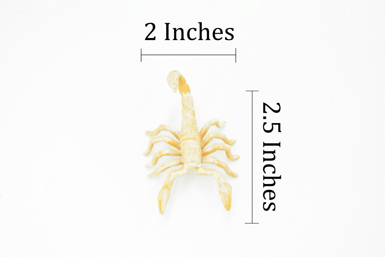 Scorpion, Cave, Arachnids, Plastic Toy Insect Kids Gift, Realistic Figure, Educational Model, Replica, Gift       2 1/2"     F765 B625                                                                                                   