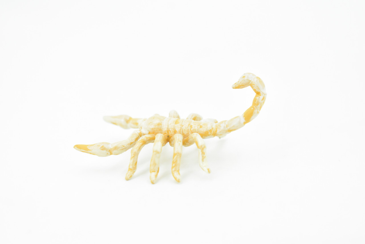 Scorpion, Cave, Arachnids, Plastic Toy Insect Kids Gift, Realistic Figure, Educational Model, Replica, Gift       2 1/2"     F765 B625                                                                                                   