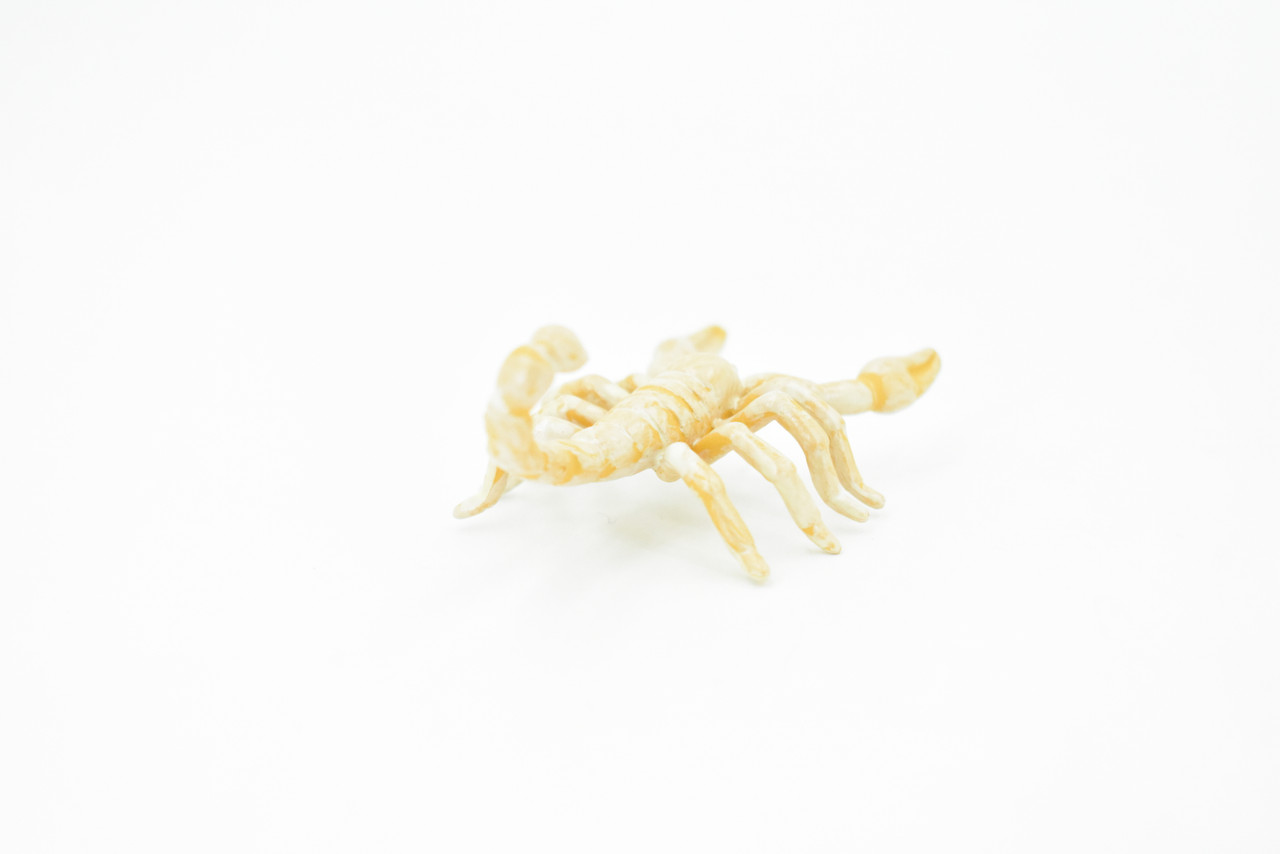 Scorpion, Cave, Arachnids, Plastic Toy Insect Kids Gift, Realistic Figure, Educational Model, Replica, Gift       2 1/2"     F765 B625                                                                                                   