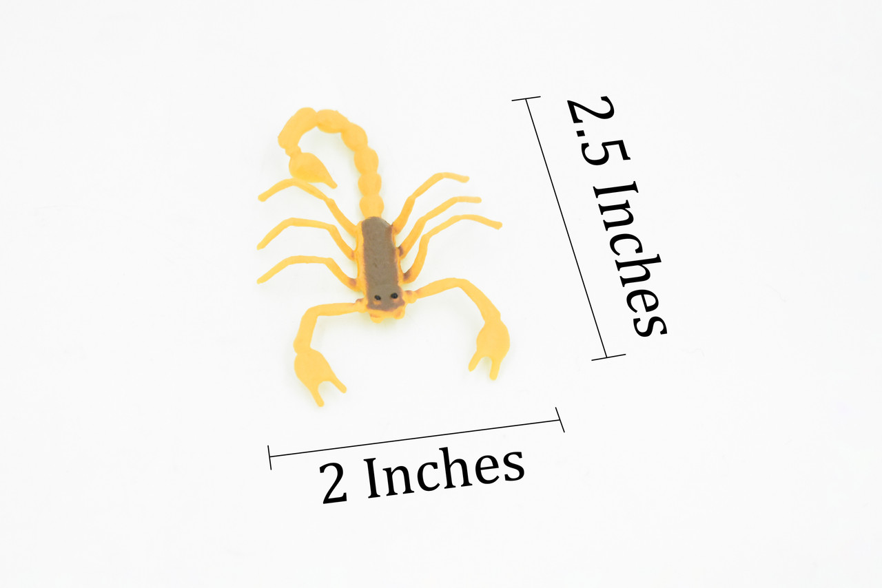 Scorpion, Orange & Brown, Rubber Toy Animal, Realistic Figure, Model, Replica, Kids Educational Gift,     2 1/2"     F1055 B190