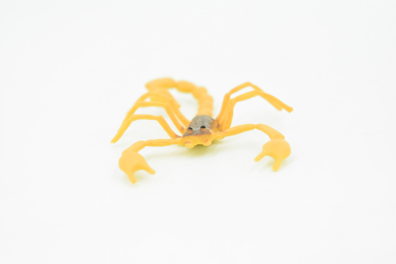 Scorpion, Orange & Brown, Rubber Toy Animal, Realistic Figure, Model, Replica, Kids Educational Gift,     2 1/2"     F1055 B190