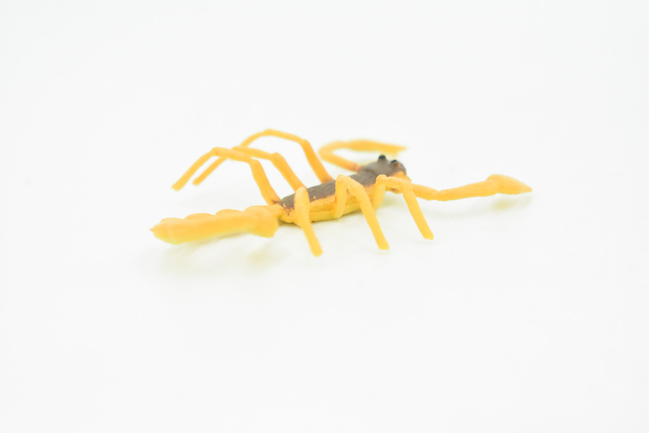 Scorpion, Orange & Brown, Rubber Toy Animal, Realistic Figure, Model, Replica, Kids Educational Gift,     2 1/2"     F1055 B190