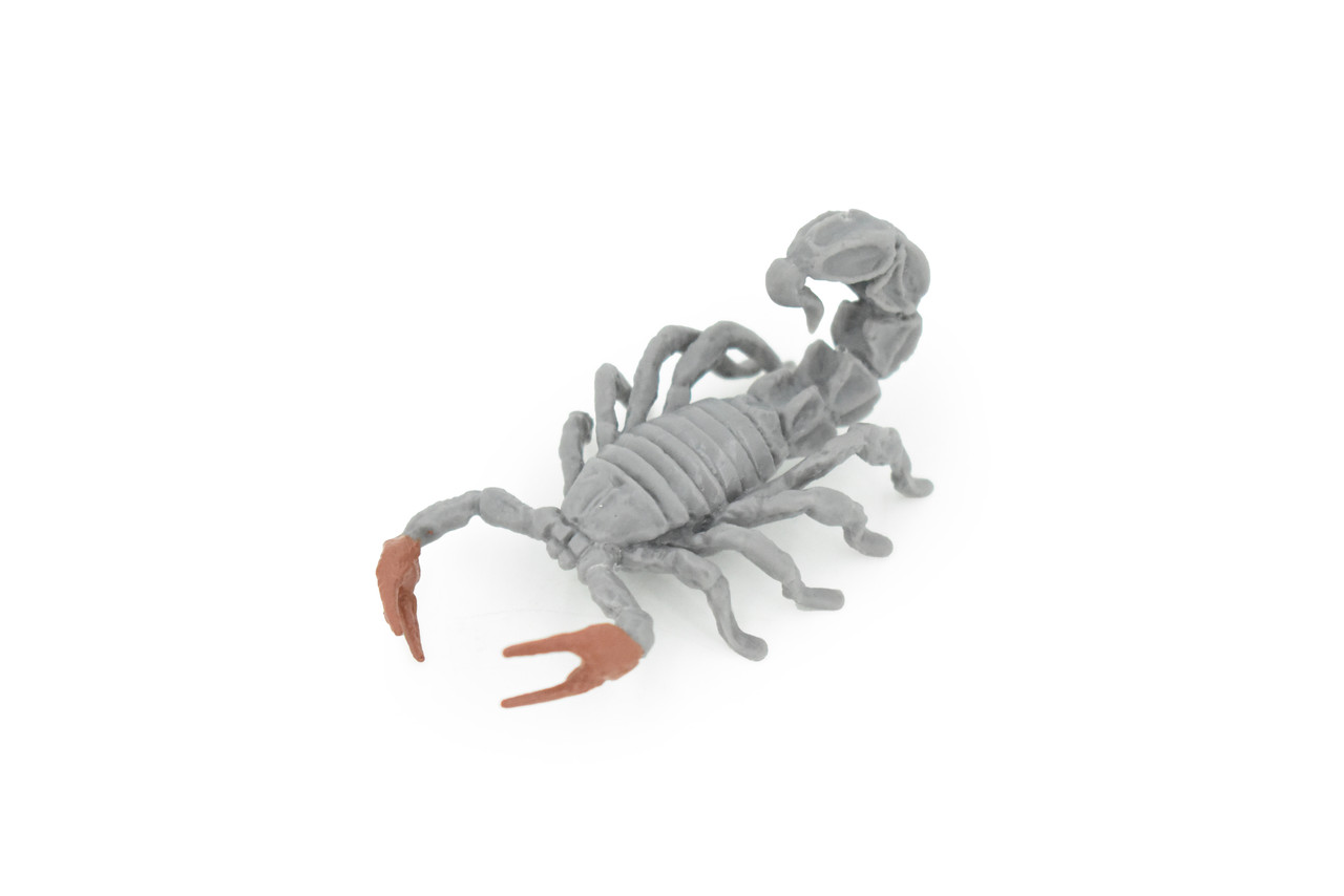 Scorpion, Gray, Fat-tailed, Very Nice Rubber Arachnid, Educational, Hand Painted, Realistic,  Replica, Toys, Kids, Gift,     3 Inches. 