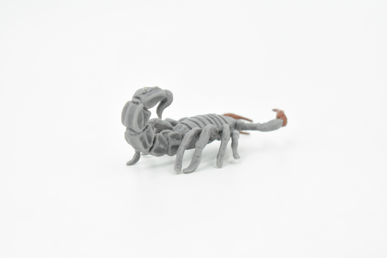 Scorpion, Gray, Fat-tailed, Very Nice Rubber Arachnid, Educational, Hand Painted, Realistic,  Replica, Toys, Kids, Gift,     3 Inches.      F3124 B225