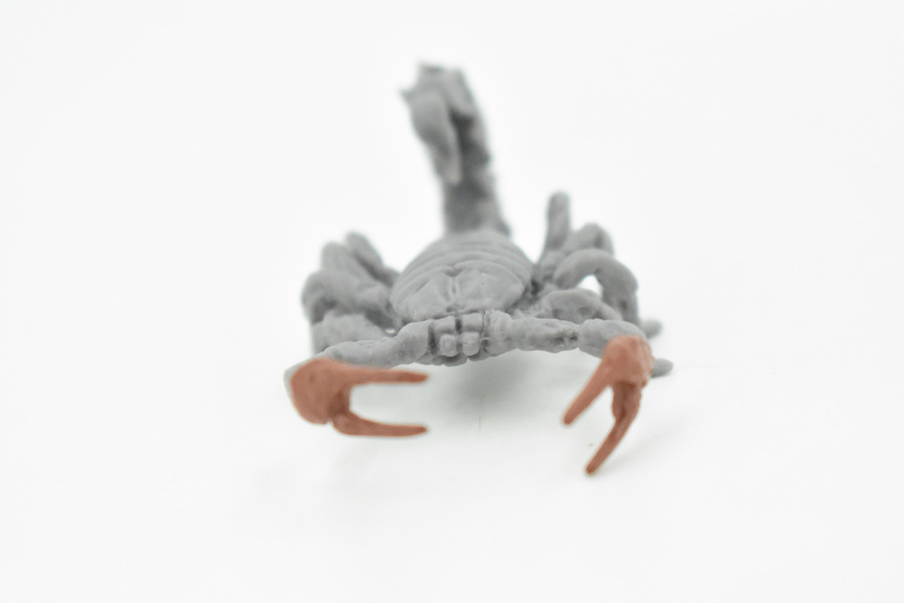 Scorpion, Gray, Fat-tailed, Very Nice Rubber Arachnid, Educational, Hand Painted, Realistic,  Replica, Toys, Kids, Gift,     3 Inches. 