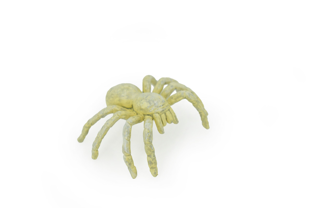 Spider, Cave, Plastic Toy Animal, Kids Gift, Realistic Figure, Educational Model, Replica, Gift,     2"     F770-B625                                                                                                                                