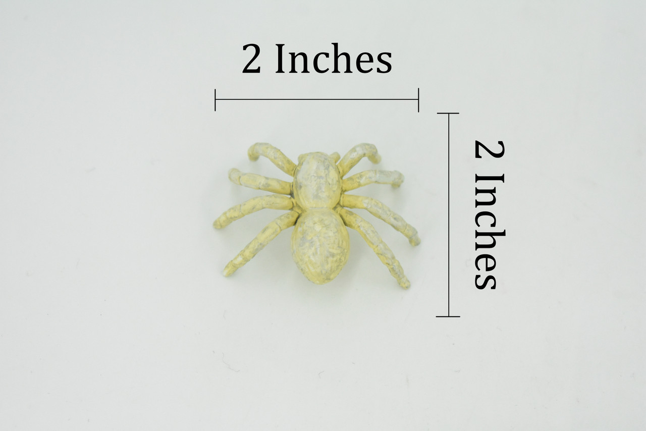 Spider, Cave, Plastic Toy Animal, Kids Gift, Realistic Figure, Educational Model, Replica, Gift,     2"     F770-B625                                                                                                                                