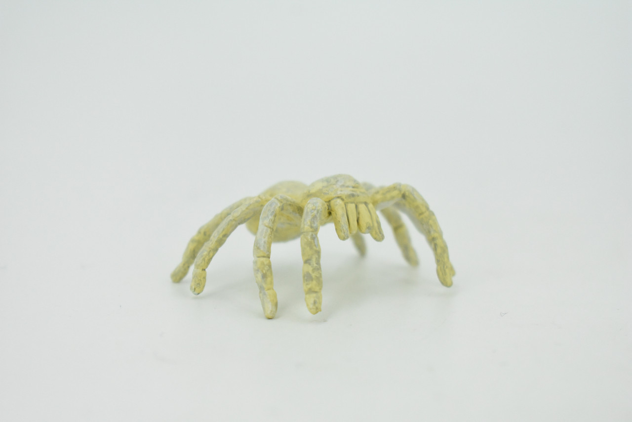 Spider, Cave, Plastic Toy Animal, Kids Gift, Realistic Figure, Educational Model, Replica, Gift,     2"     F770-B625                                                                                                                                