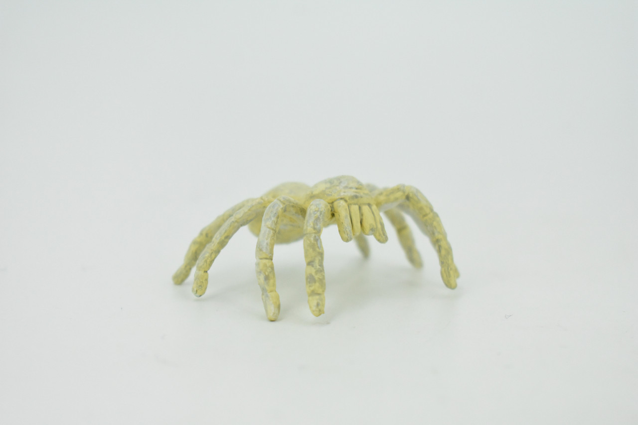 Spider, Cave, Plastic Toy Animal, Kids Gift, Realistic Figure, Educational Model, Replica, Gift,     2"     F770-B625                                                                                                                                