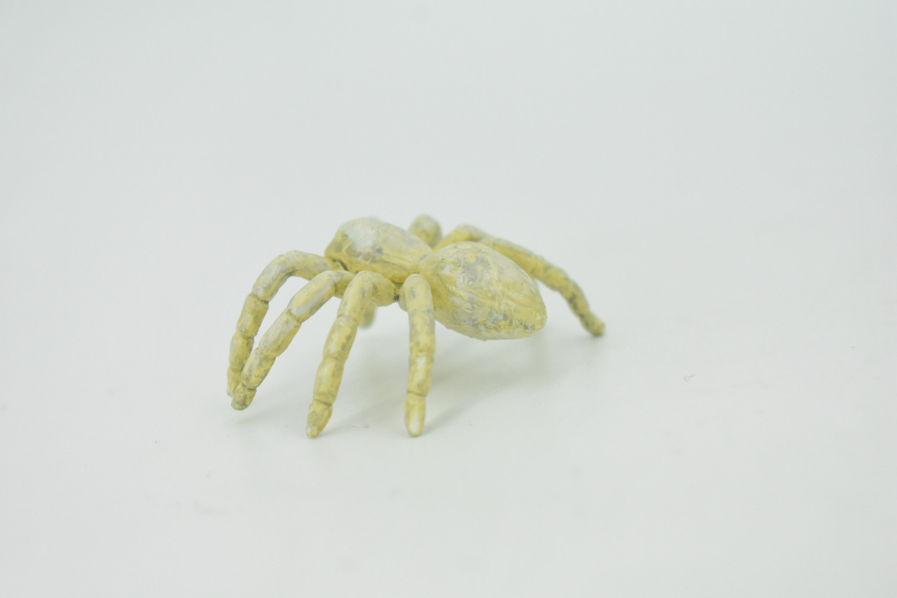 Spider, Cave, Plastic Toy Animal, Kids Gift, Realistic Figure, Educational Model, Replica, Gift,     2"     F770-B625                                                                                                                                