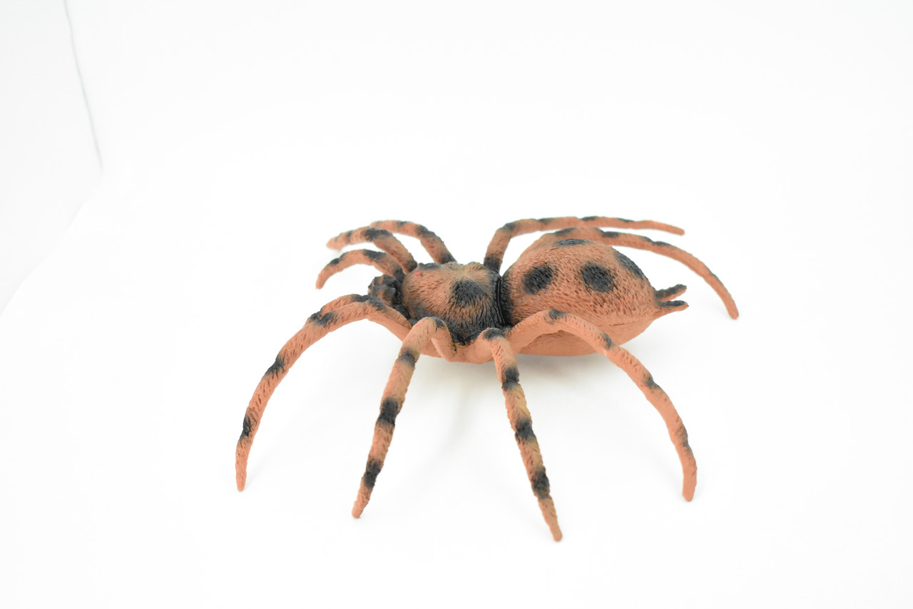 Spider, Goliath Birdeater, Tarantula, Arachnids, Hand Painted, Rubber Insect, Toy, Kids, Gift, Realistic Figure, Educational,  Model, Replica, Gift