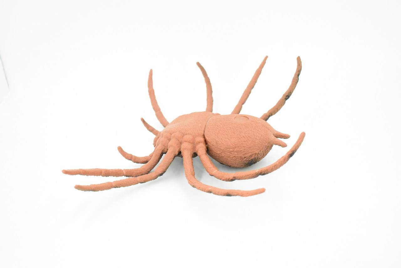 Spider, Goliath Birdeater, Tarantula, Arachnids, Hand Painted, Rubber Insect, Toy, Kids, Gift, Realistic Figure, Educational,  Model, Replica, Gift,      7"      F2086 B493