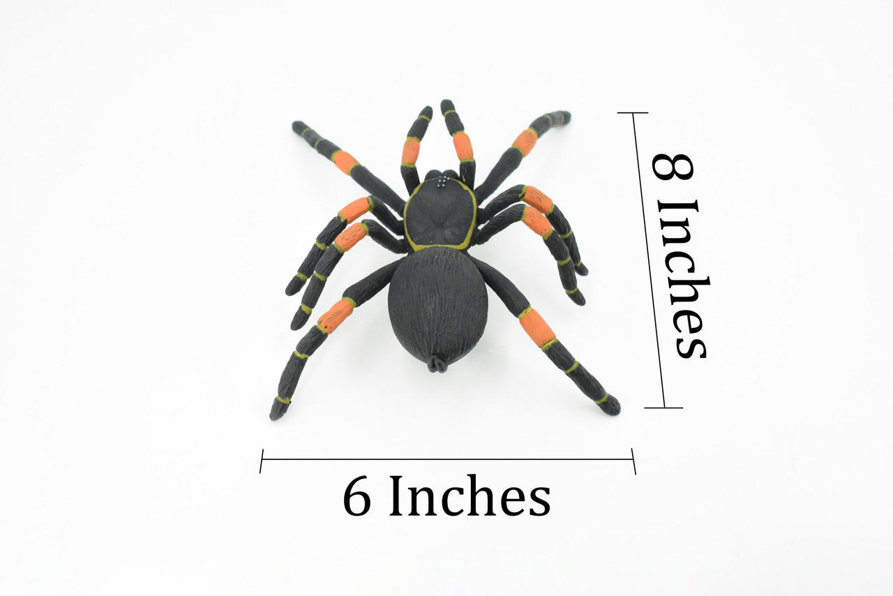 Spider, Tarantula, Mexican Red-kneed, Museum Quality Rubber Insect, Educational, Realistic Hand Painted Figure, Lifelike Model,        8"         F3635 B210