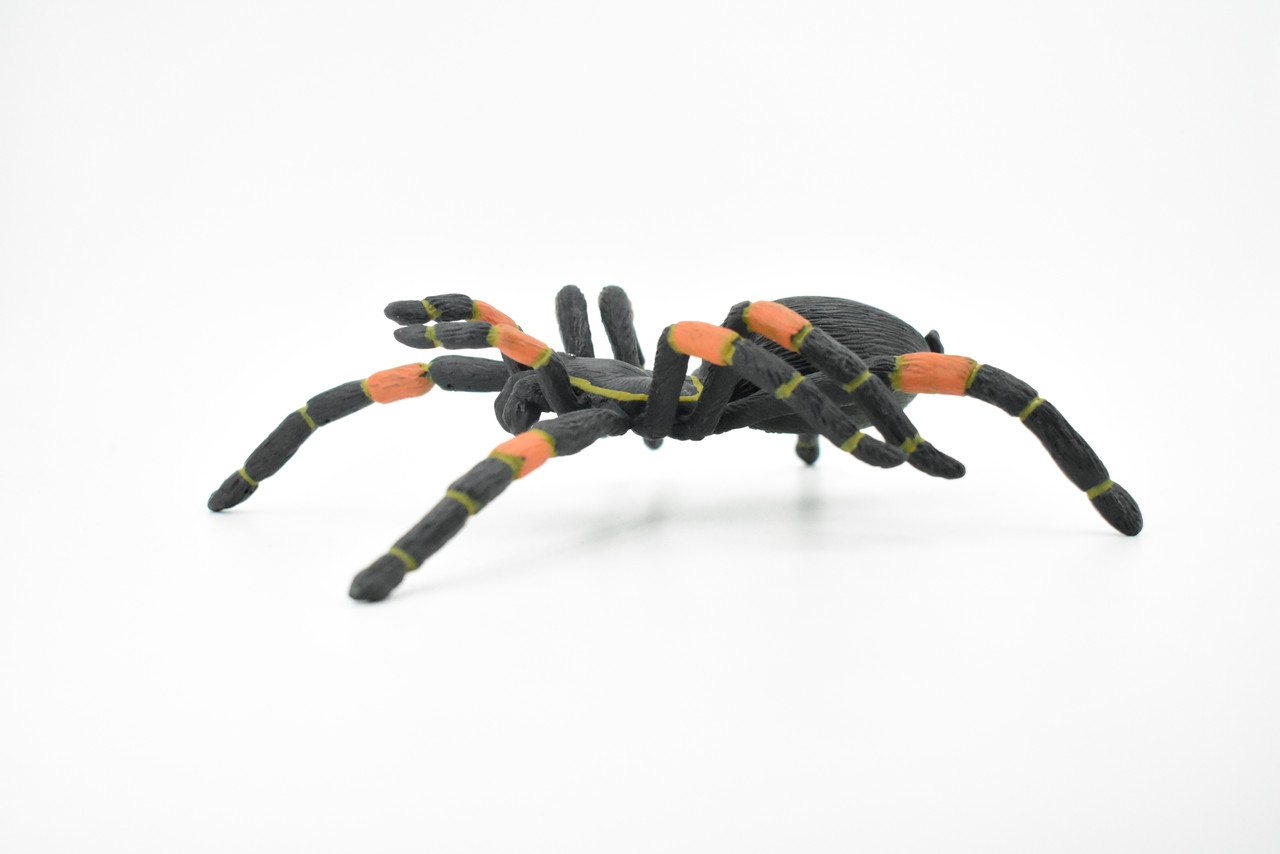 Spider, Tarantula, Mexican Red-kneed, Museum Quality Rubber Insect, Educational, Realistic Hand Painted Figure, Lifelike Model,        8"         F3635 B210