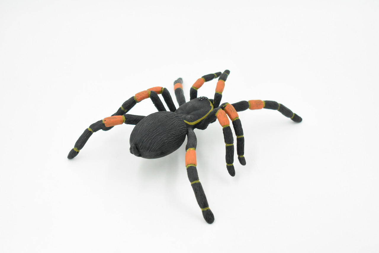 Spider, Tarantula, Mexican Red-kneed, Museum Quality Rubber Insect, Educational, Realistic Hand Painted Figure, Lifelike Model,        8"         F3635 B210